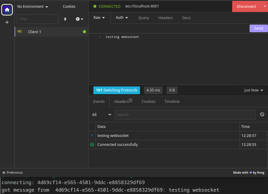 websocket testing